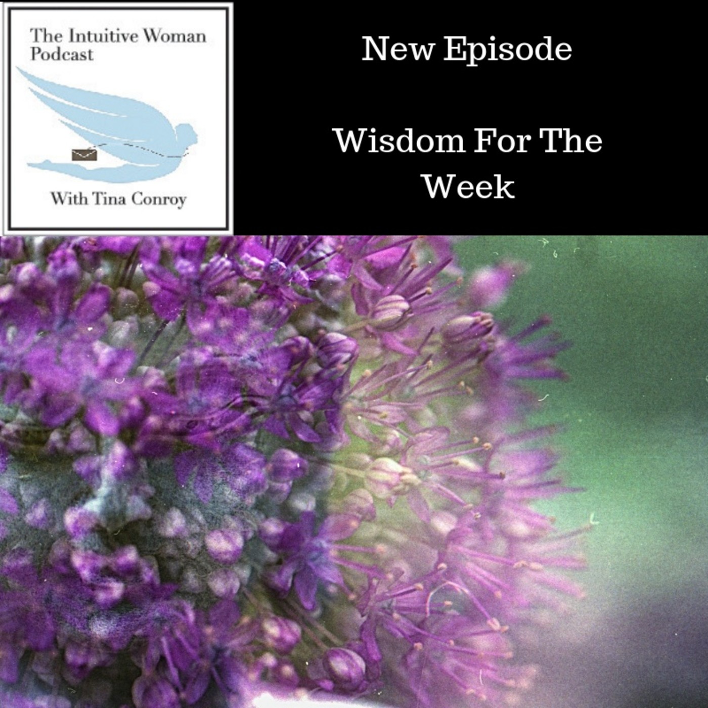 The Intuitive Woman