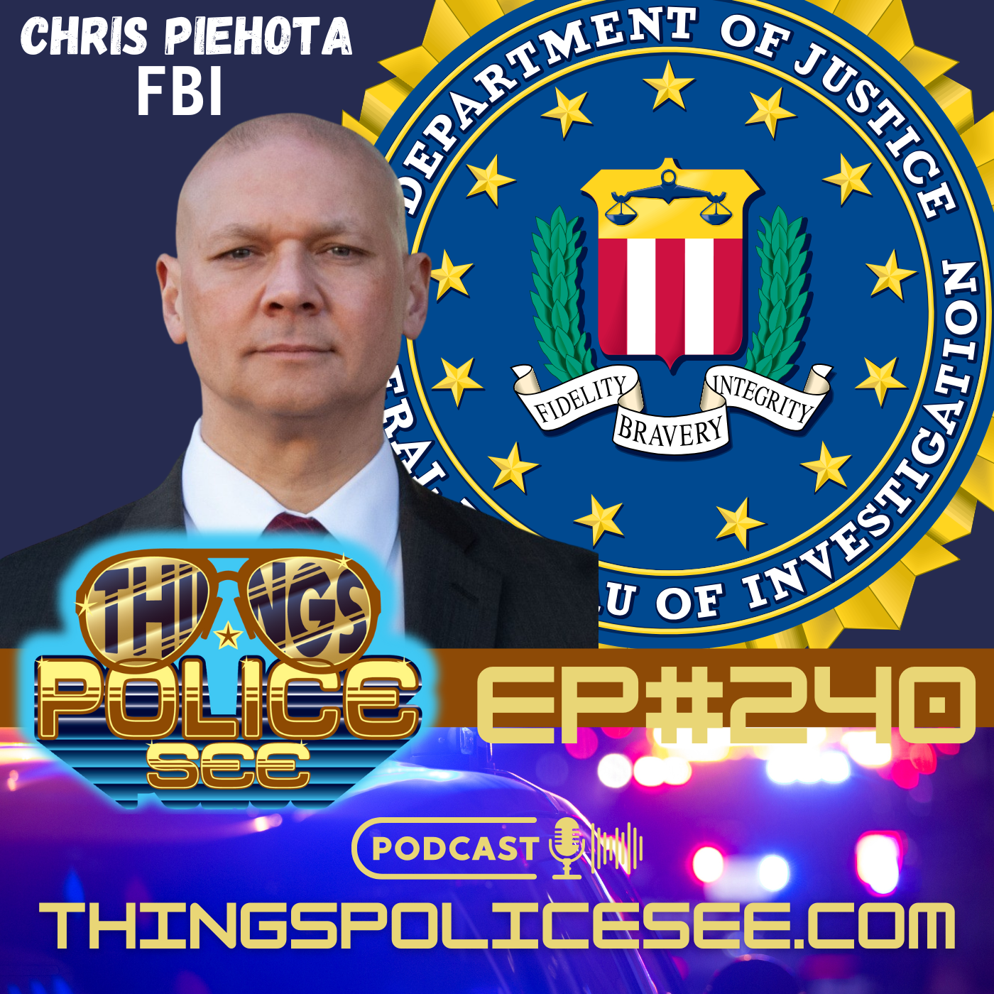 Things Police See: Firsthand Accounts
