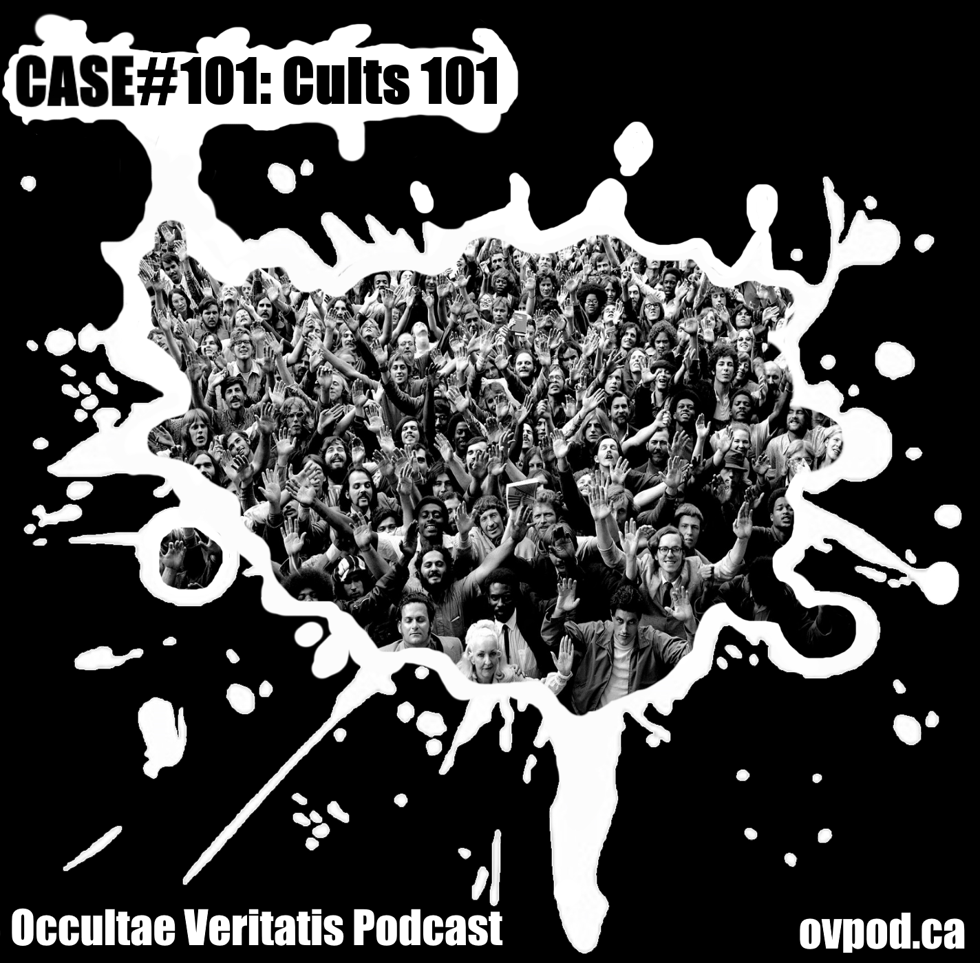 Case #101: Cults 101