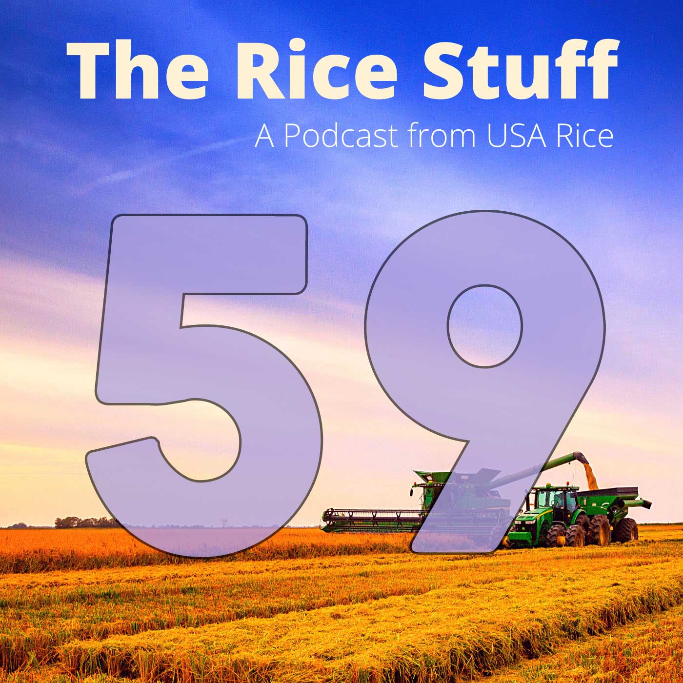 The Rice Stuff