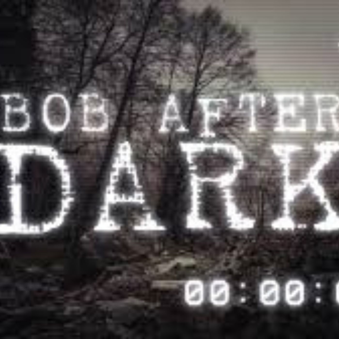 Bob After Dark