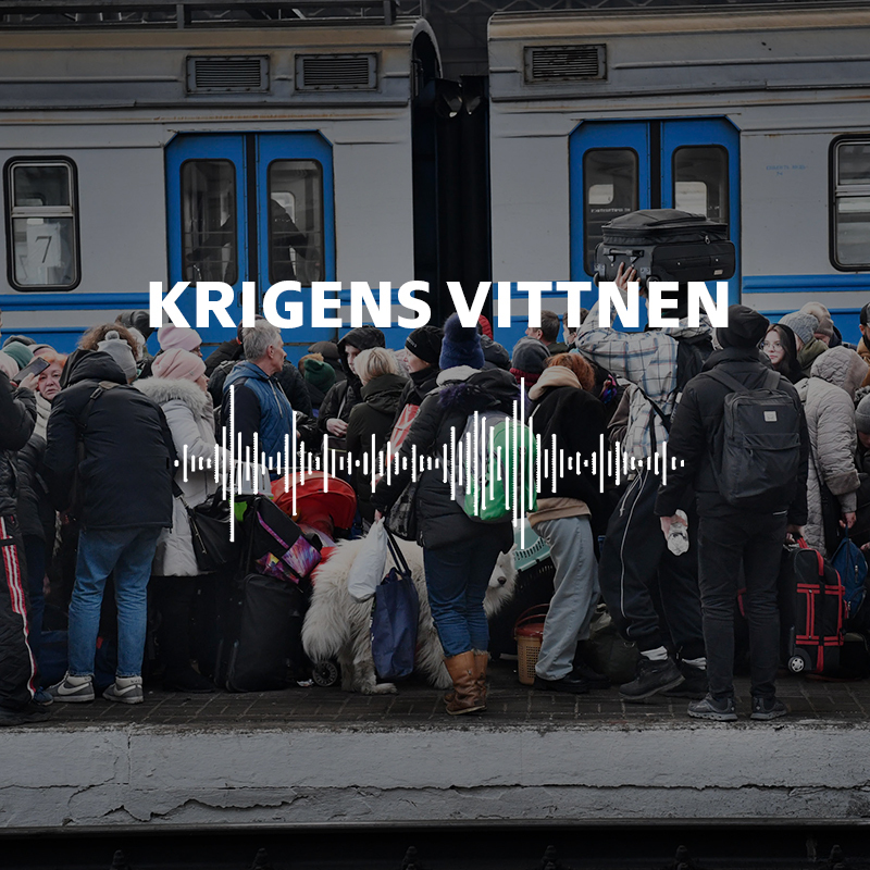 TTELA dokumentär