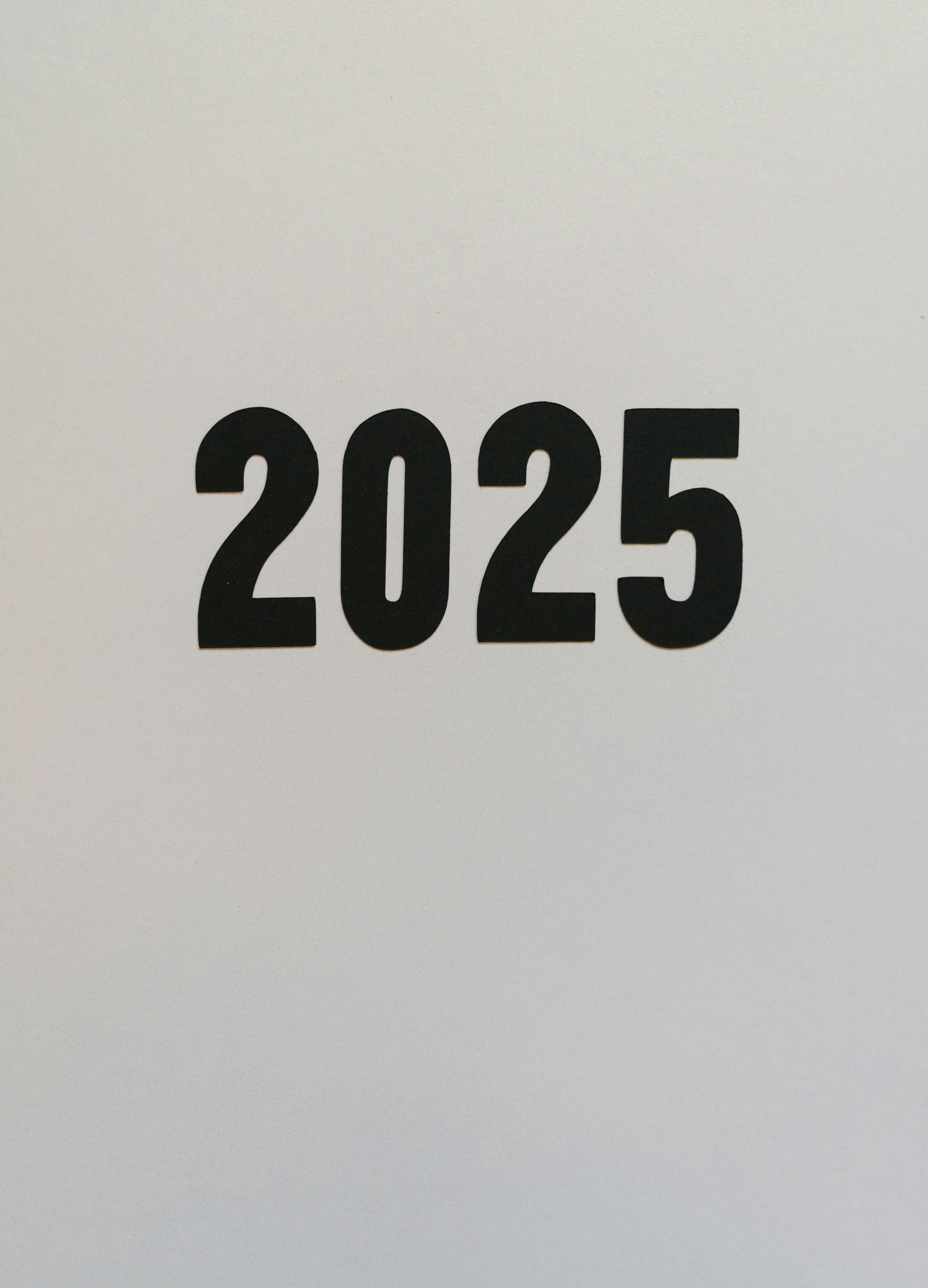2025 Investment Forecasts, Potential Outcomes, and Potential Surprises?