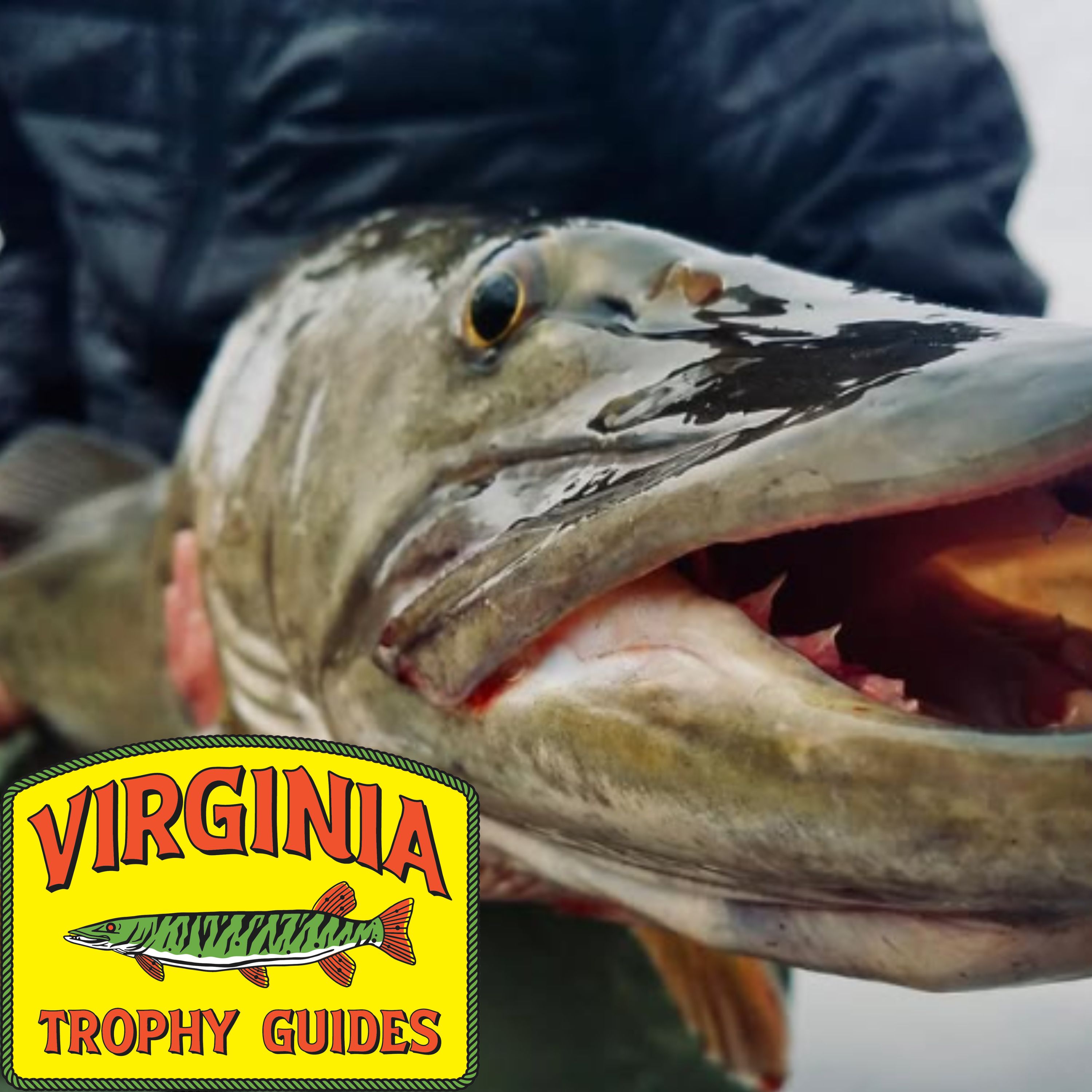 Off the Hook with MattyD