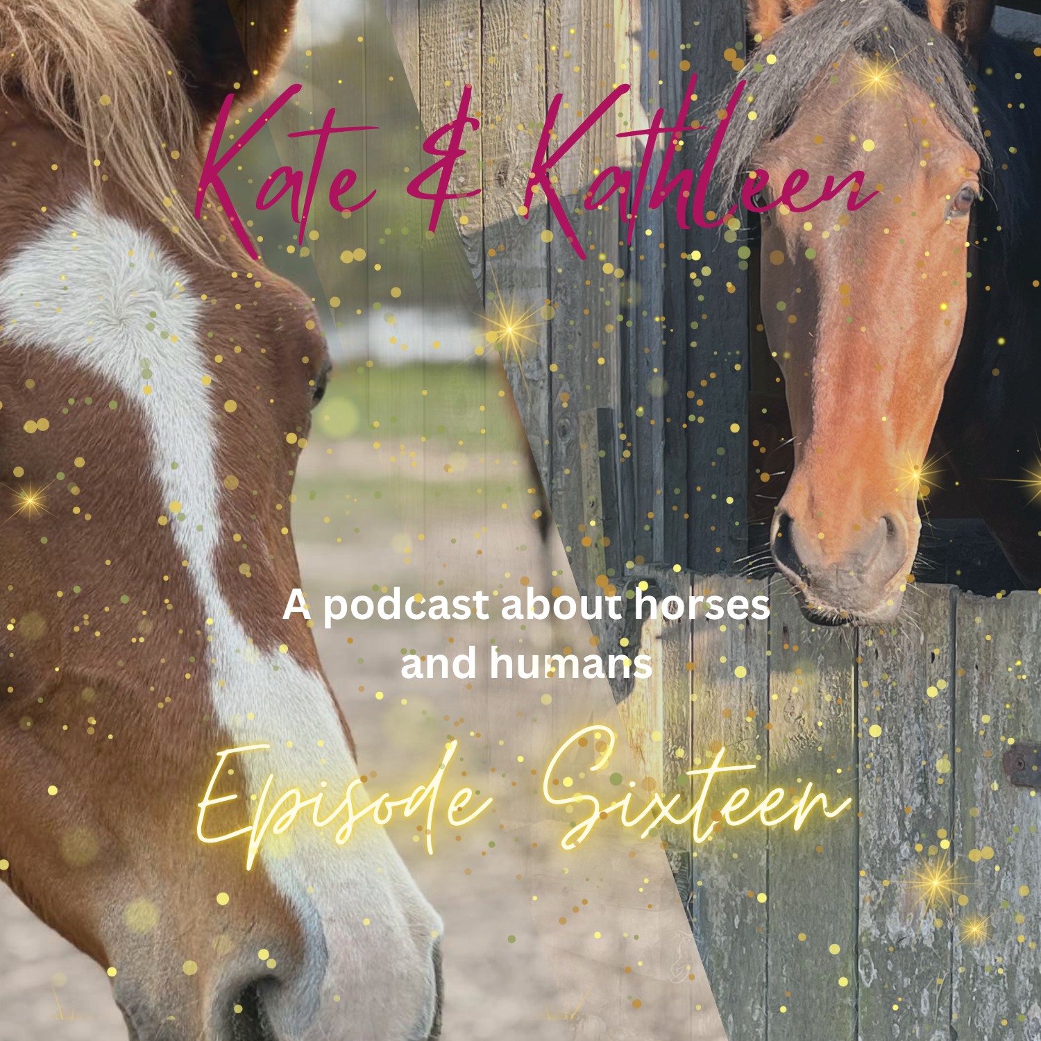 Kate and Kathleen - A podcast about humans and horses