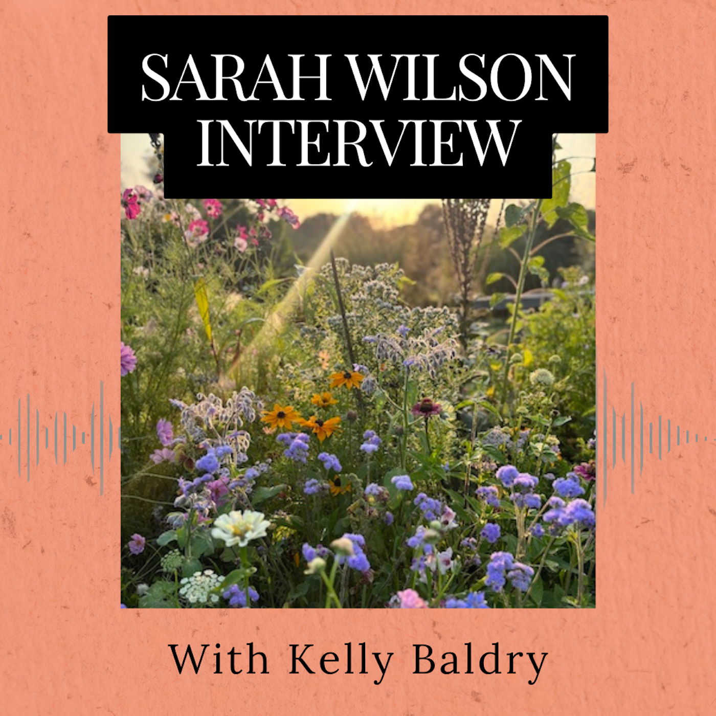 Kelly Baldry Interviews Sarah Wilson