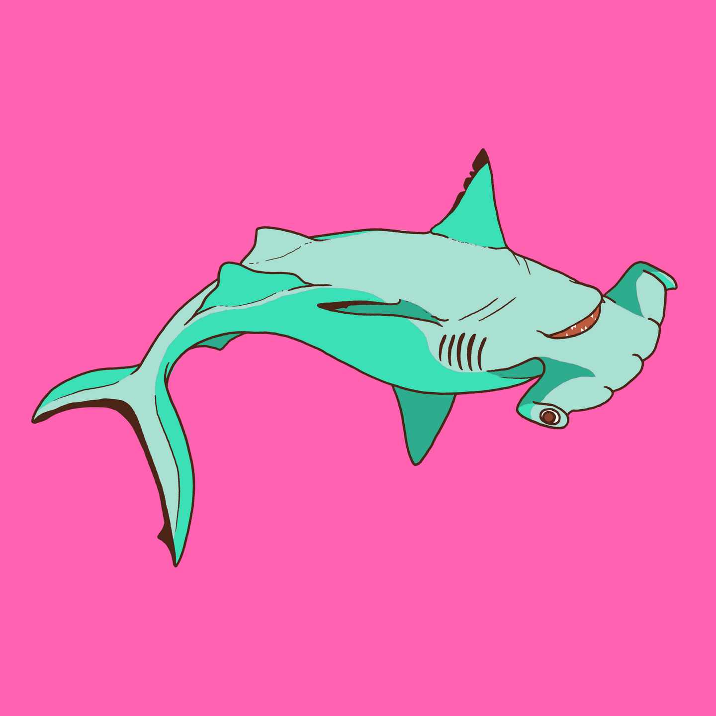 The Wrestling Sharkies 2017