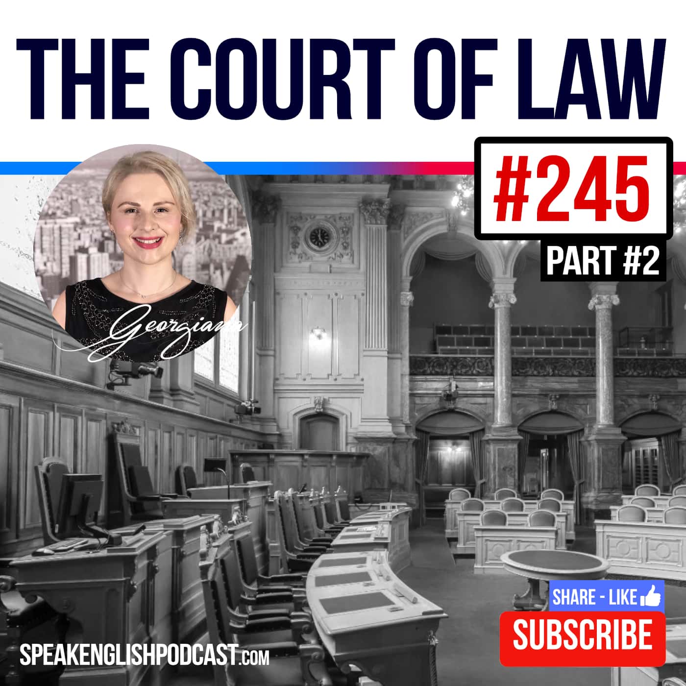 cover of episode #245 The court of law in the USA -part 2