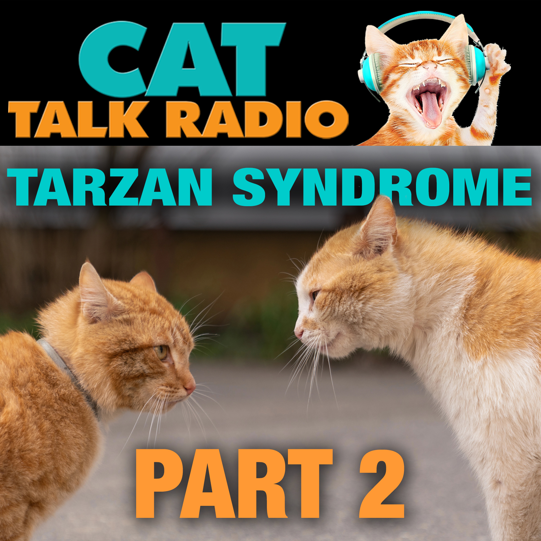 Tarzan Syndrome: Part 2 — Social Rehab That Works