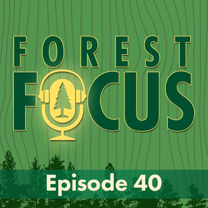 cover of episode Episode 40: Frog Fridays