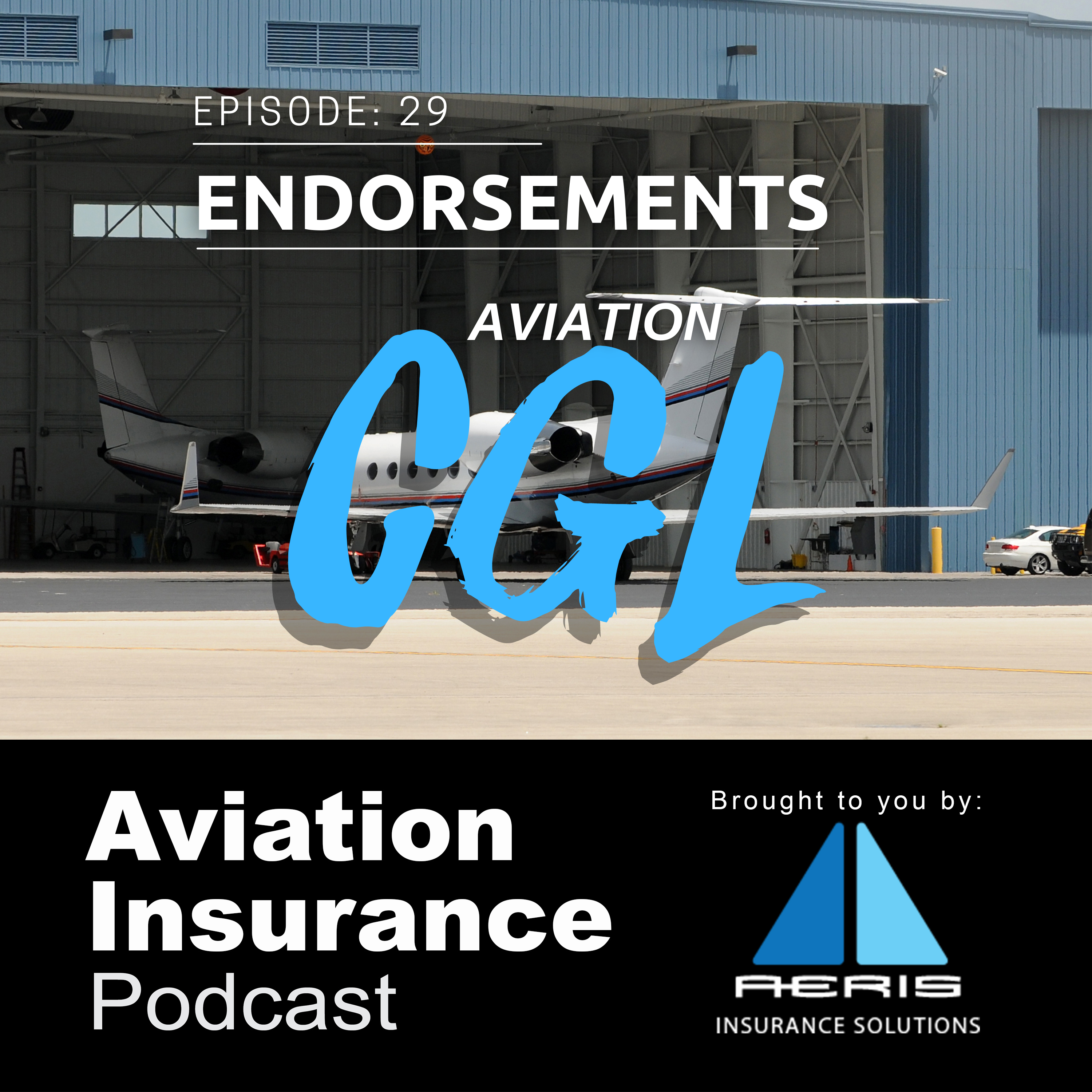 Episode 29: Aviation Commercial General Liability - Endorsements