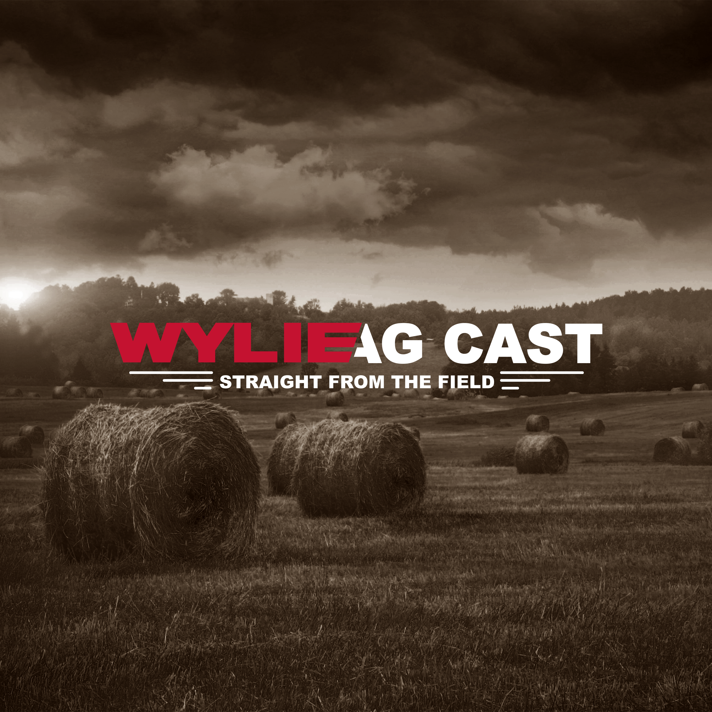 Jason Johnson – Growth Community & Building Opportunities | The Wylie AgCast