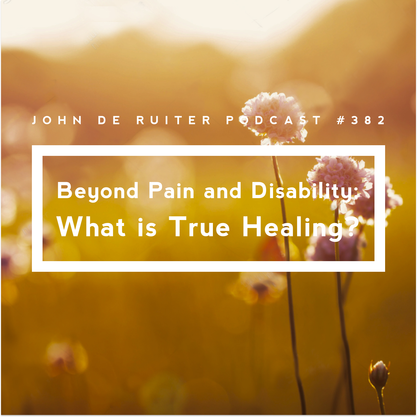 JdR Podcast 382 - Beyond Pain and Disability: What is True Healing?