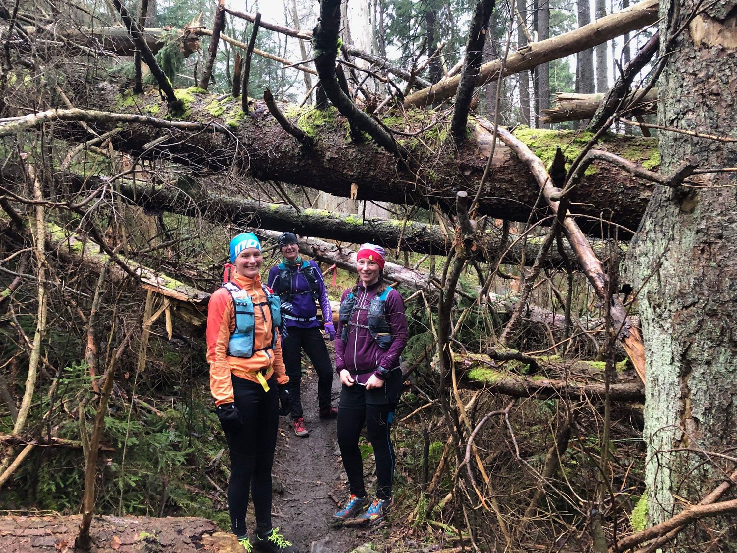 #095 - Sandsjöbacka Trail 2019 eftersnack