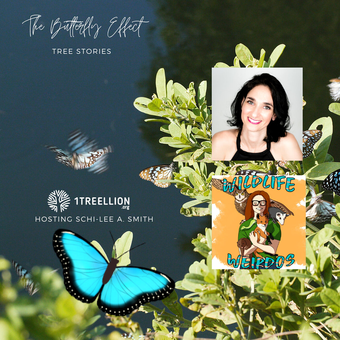 Bonus! Blue Morpho Butterfly ft. Tali Orad from The Butterfly Affect