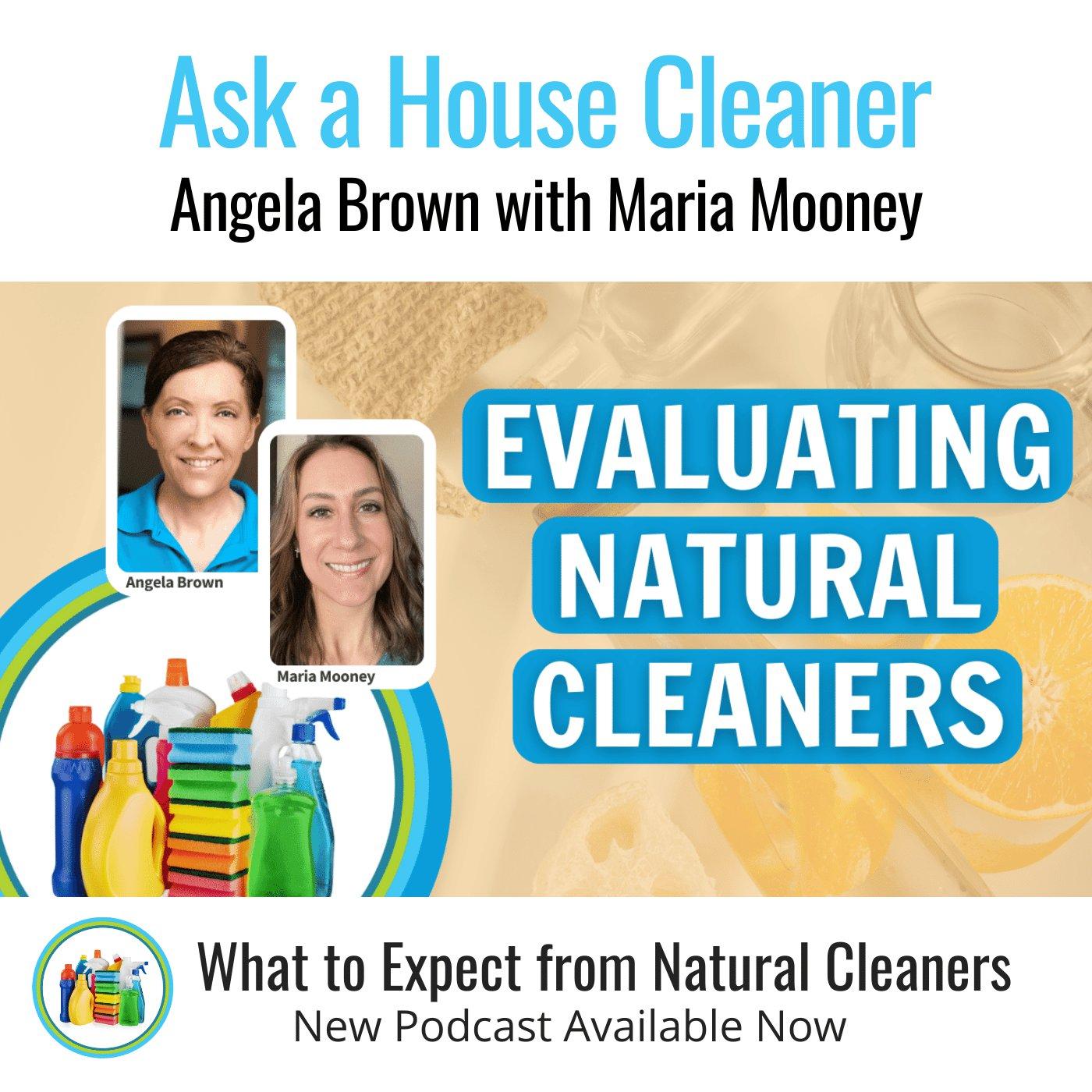 Ask a House Cleaner