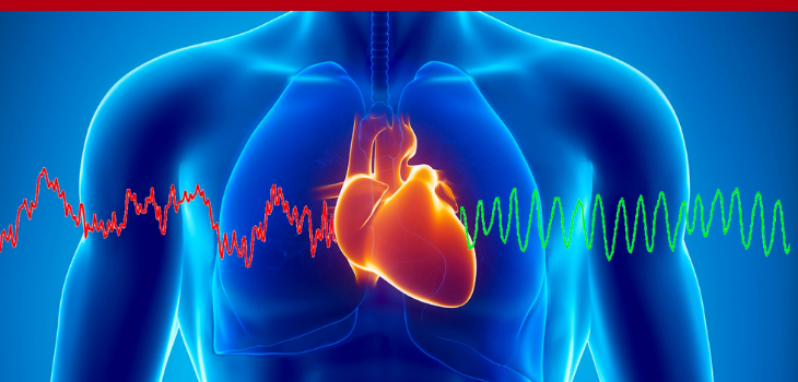 HRV: The Secret To A Healthier & Stress-Free Life with Dr. Mike T. Nelson