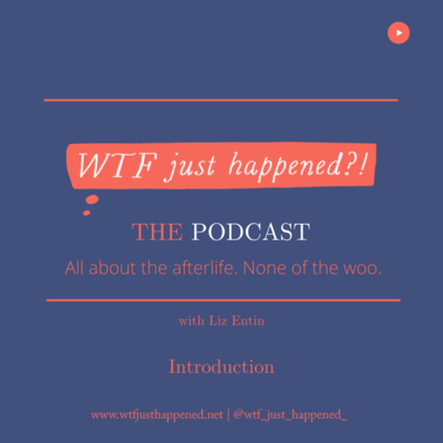 WTF Just Happened?!: All about the afterlife. No woo.