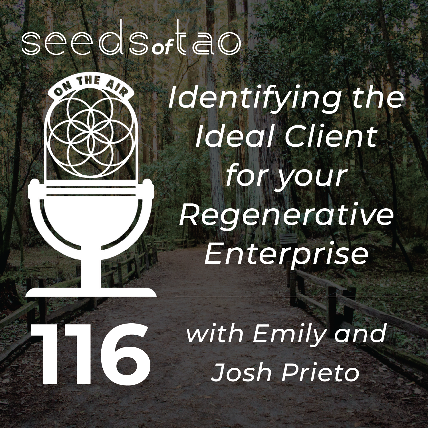 Seeds of Tao: Impact entrepreneurs seeding regenerative paths beyond sustainability