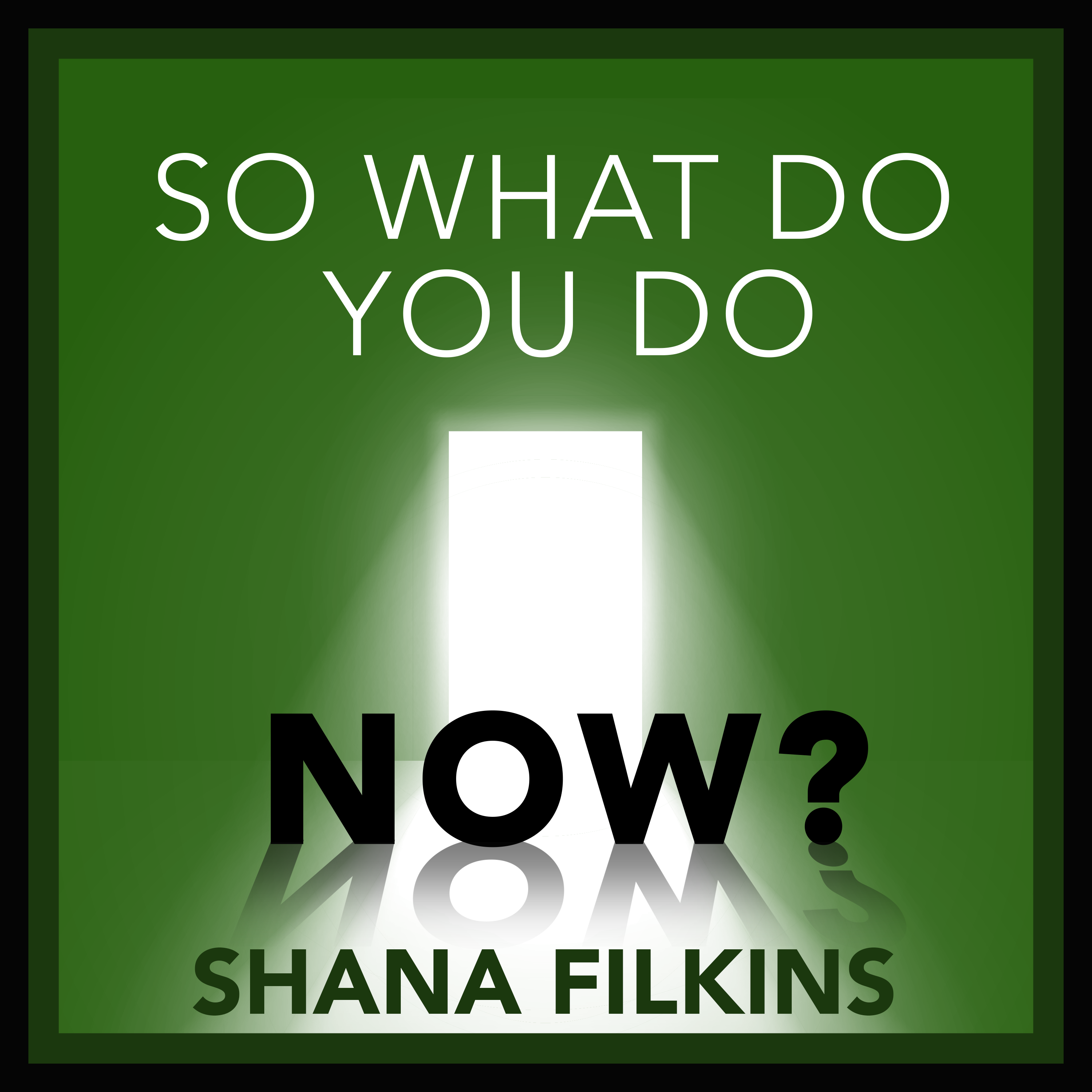 So What Do You Do Now?