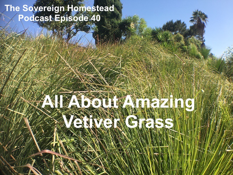 The Sovereign Homestead Podcast