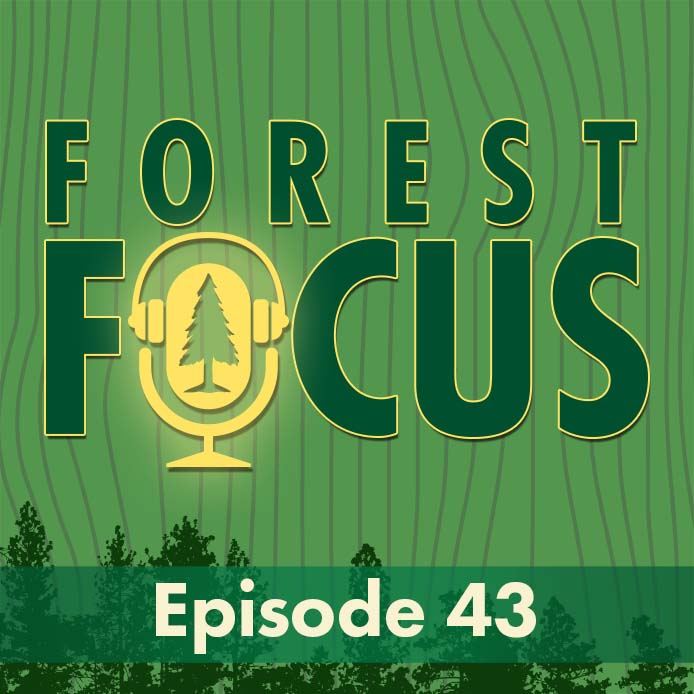 cover of episode Episode 43: Wandering after Wolves