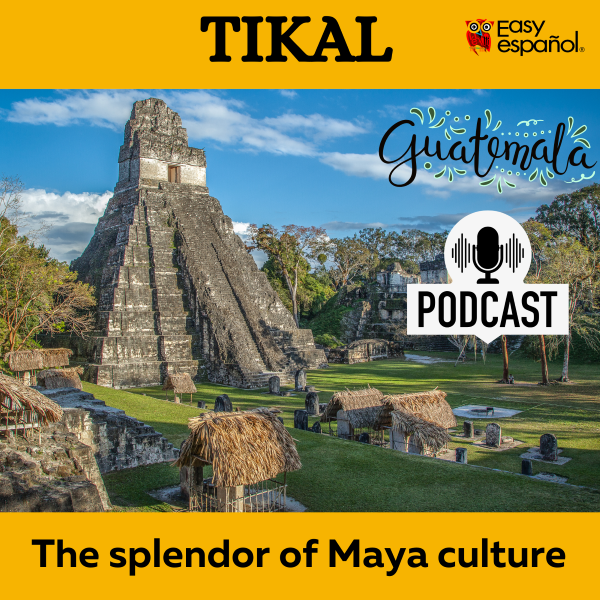Spanish On the Go! - Improve your listening comprehension skills with our authentic podcasts