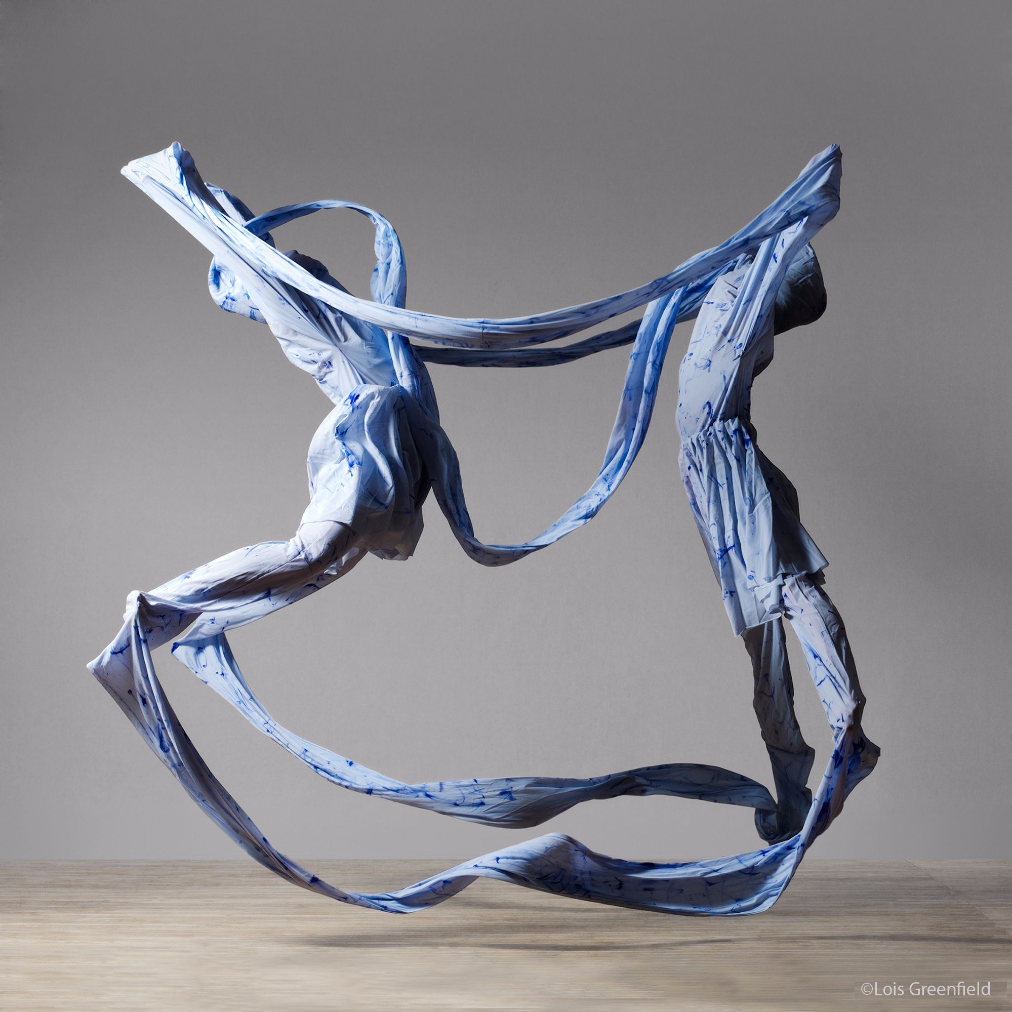 Dance Photography with Lois Greenfield and Omar Z. Robles