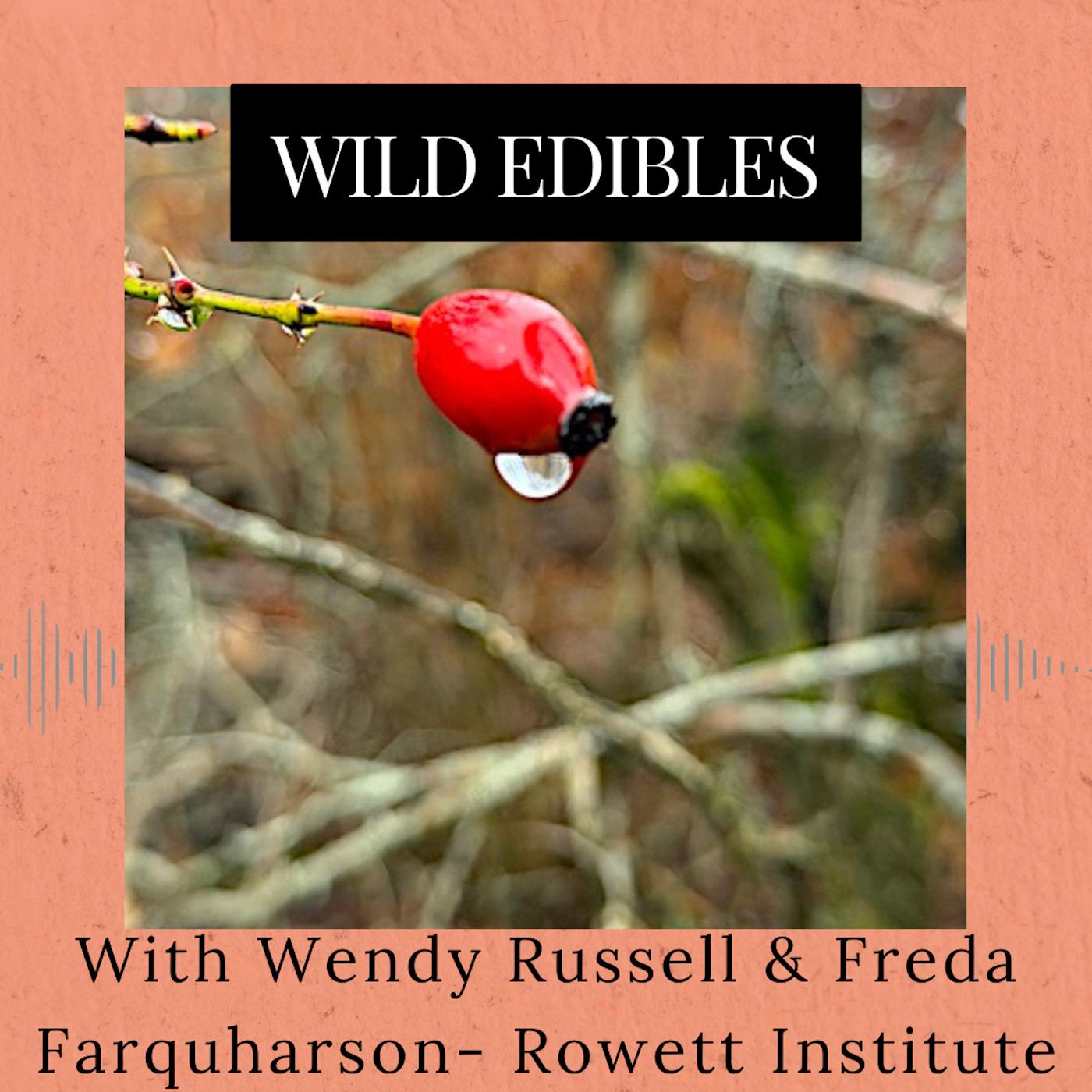 Roots and All - Gardening Podcast