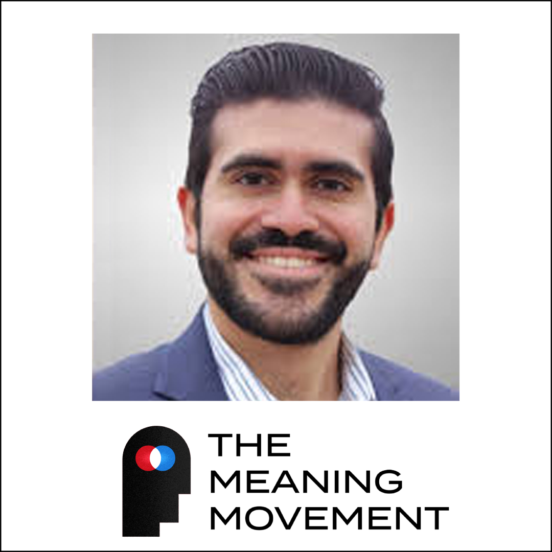 The Meaning Movement: Rediscover your Passion, Avoid Burnout, and Do Work You Love.
