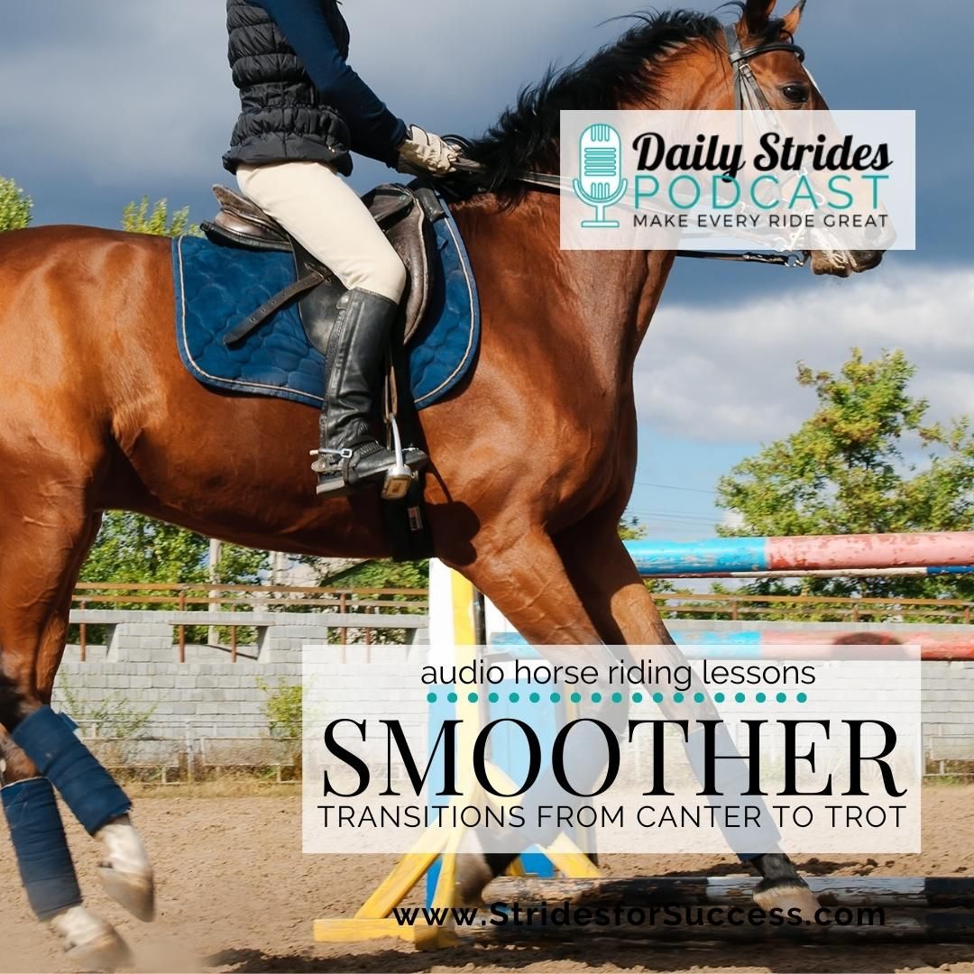 Smoother Transitions from Canter to Trot