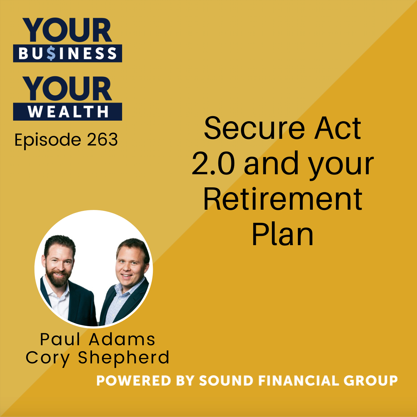 263 - Secure Act 2.0 and your Retirement Plan