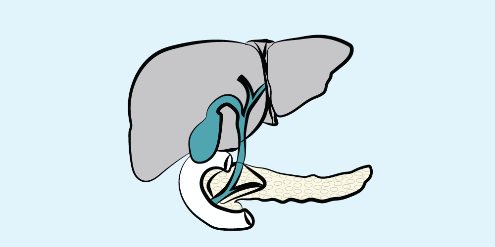Episode Logo