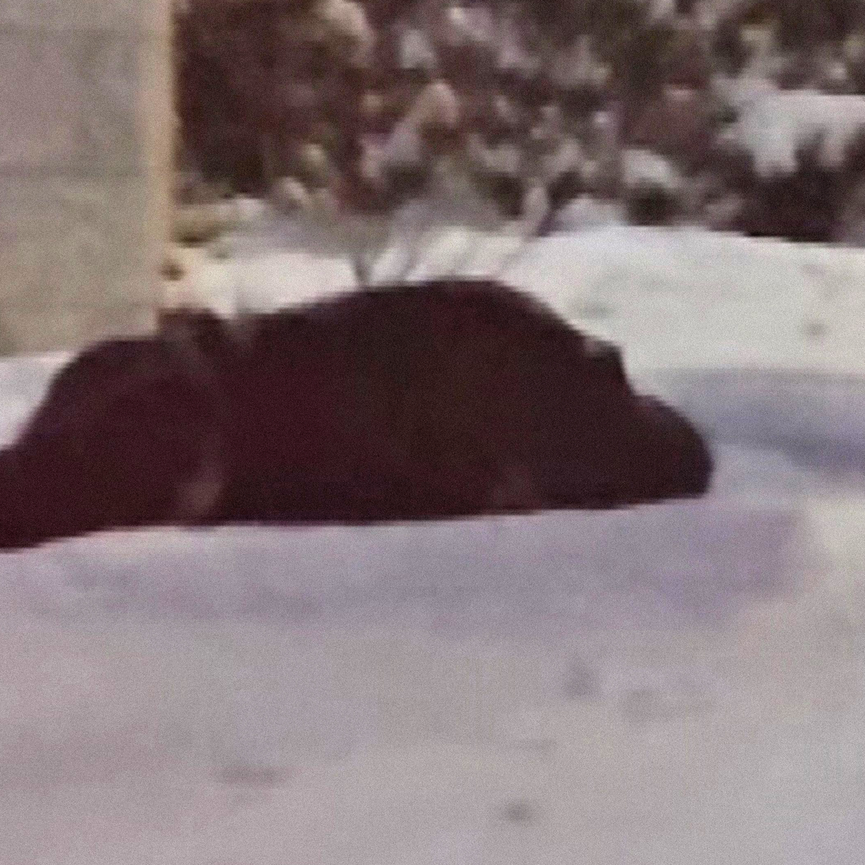 Video of a man being evicted from a hospital, dumped in the snow sparks outrage