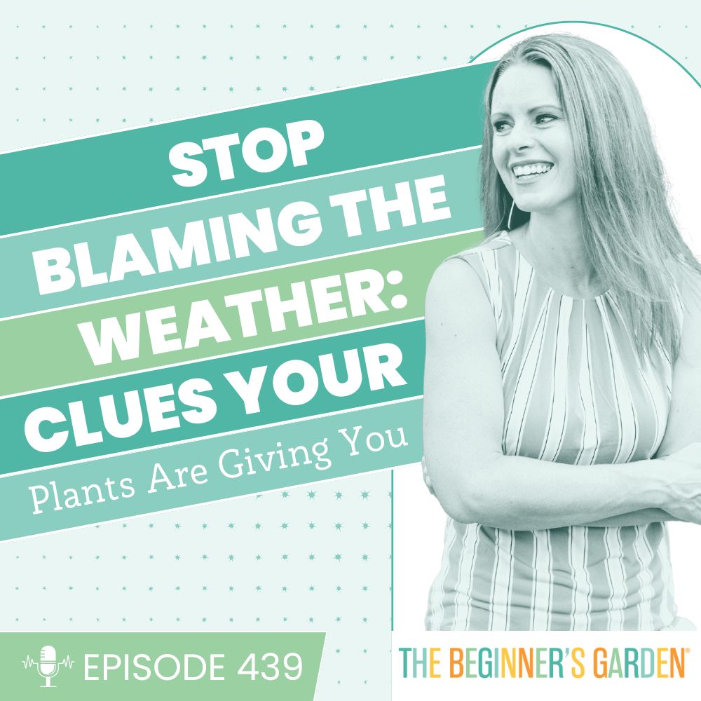 439 - Stop Blaming the Weather: Clues Your Plants Are Giving You