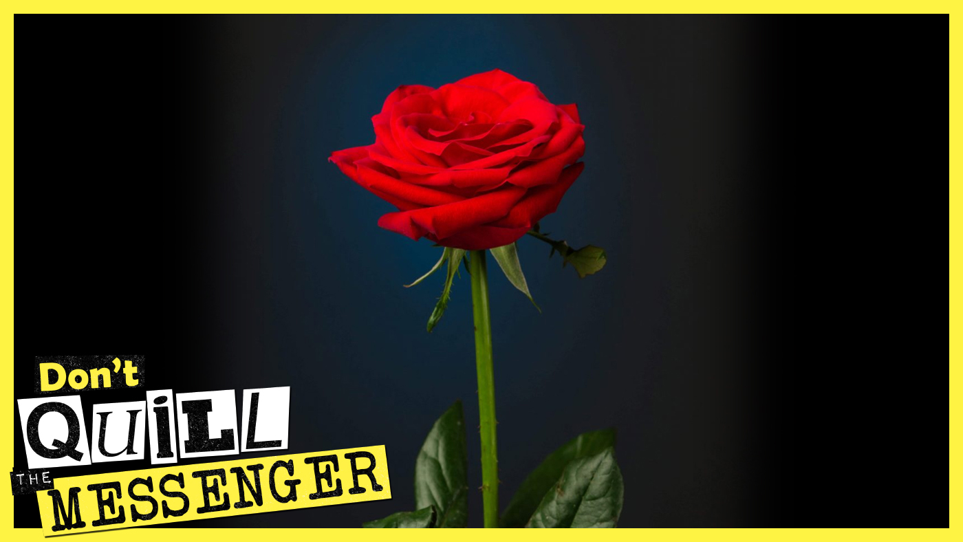 Don\'t Quill the Messenger: Shakespeare Authorship Explored