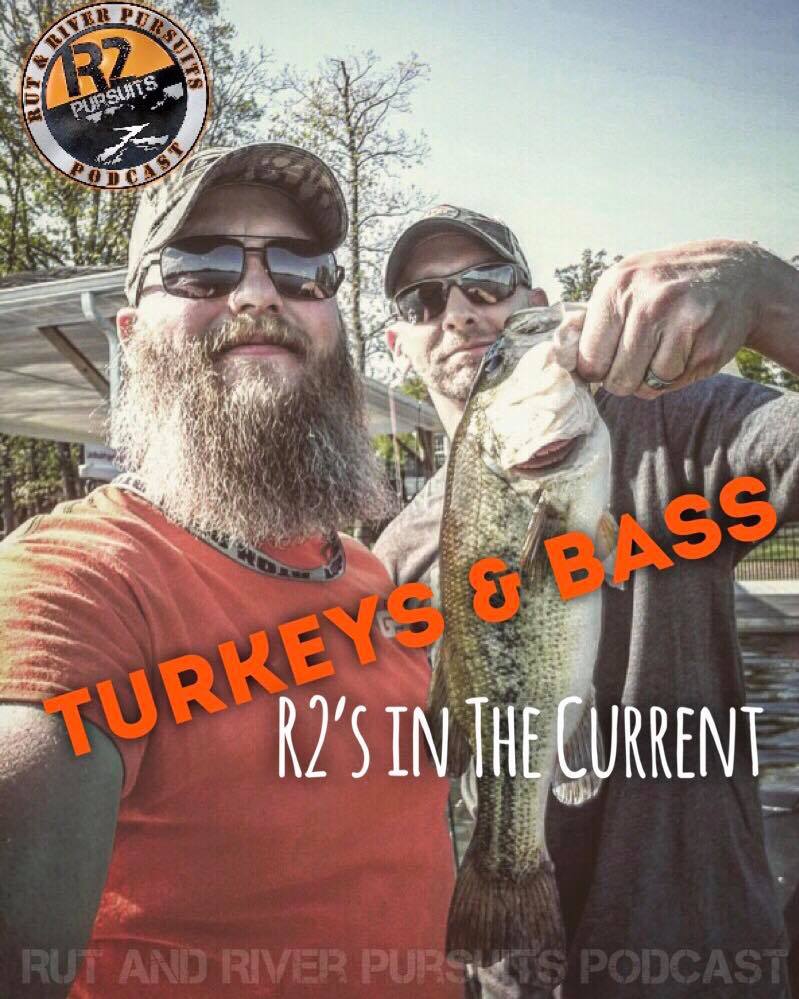 Turkeys & Bass - R2's In The Current