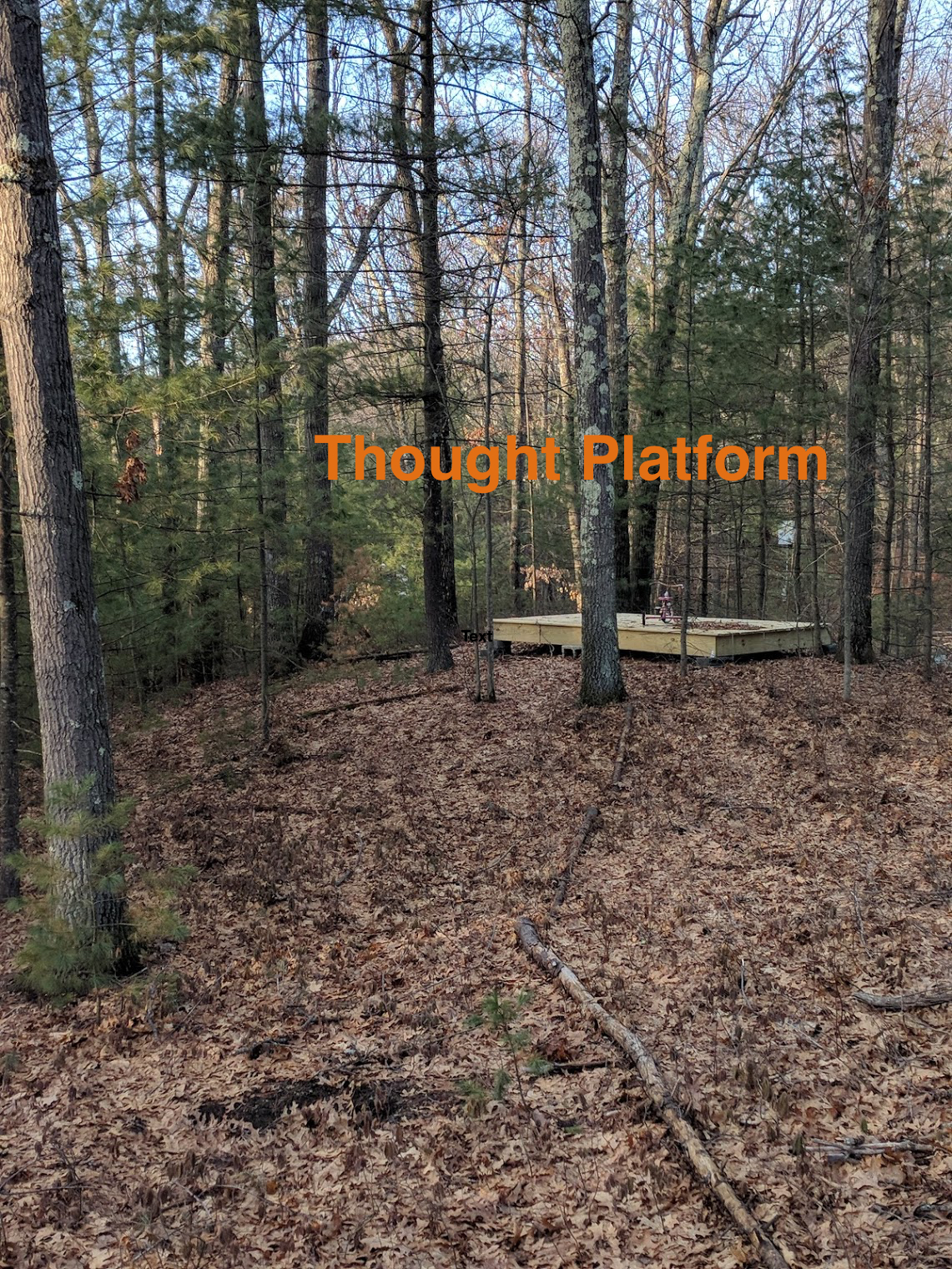 Thought Platform - Books