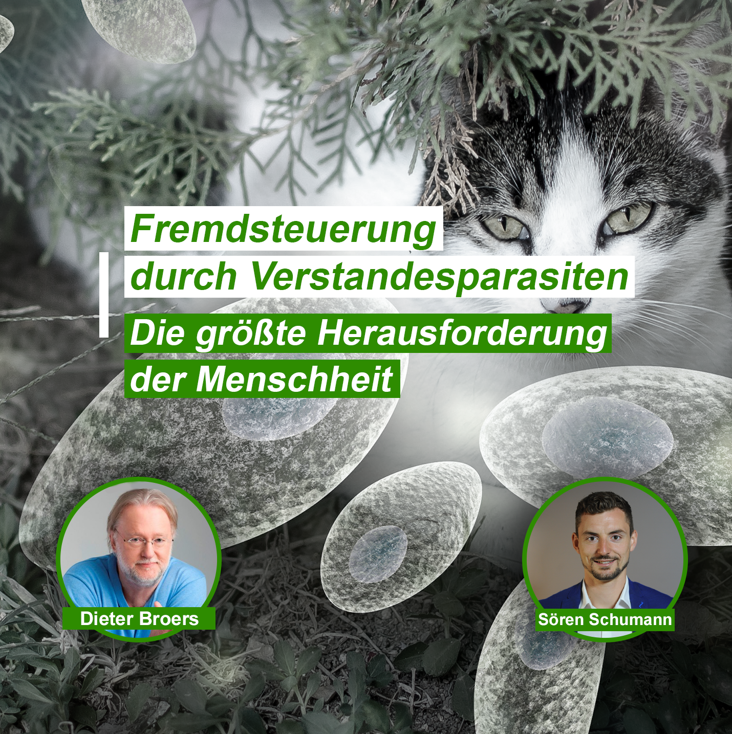 Gesundheit Ganzheitlich