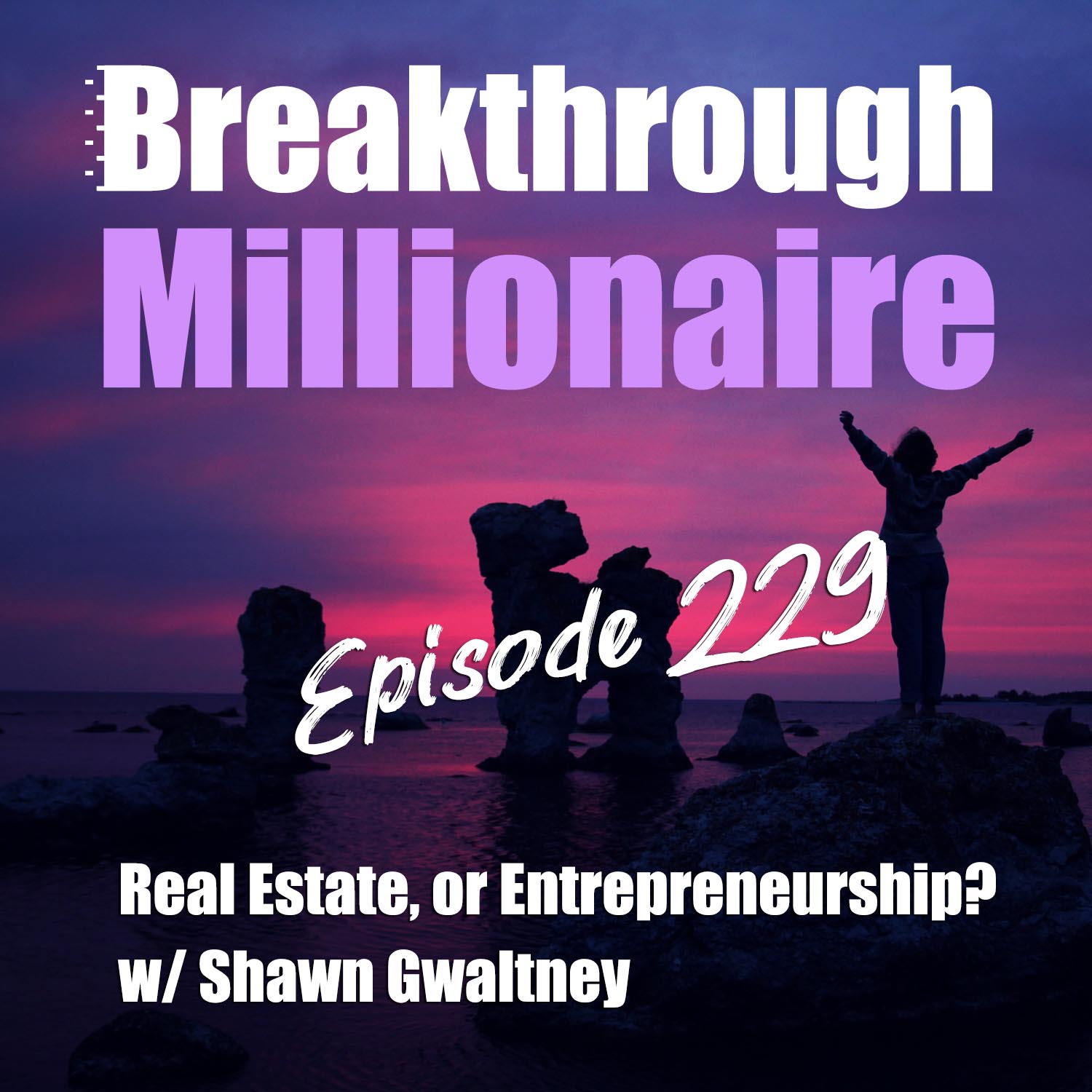 cover of episode 229 : Real Estate, or Entrepreneurship? with Shawn Gwaltney
