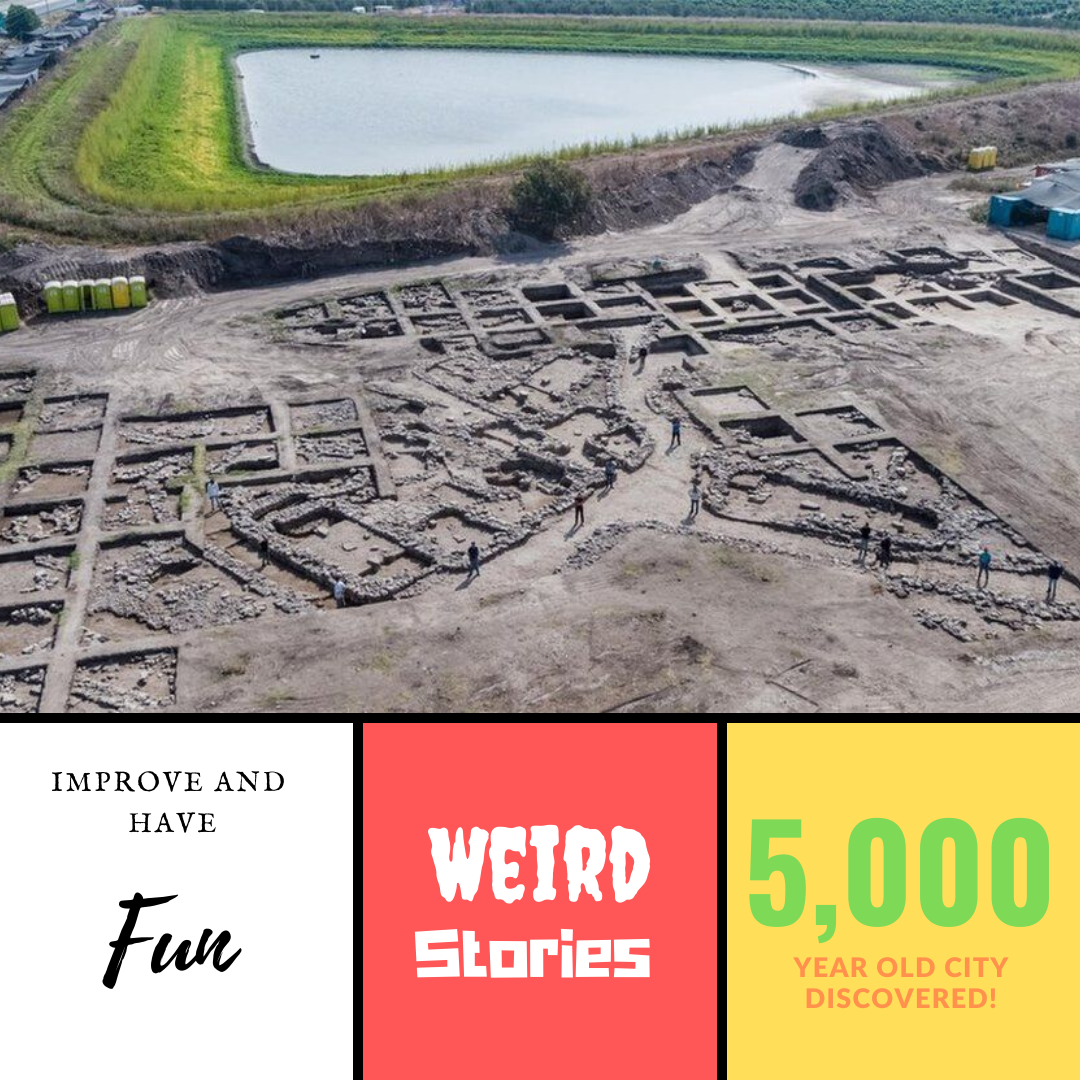 Final Weird Stories Episode for 2019!