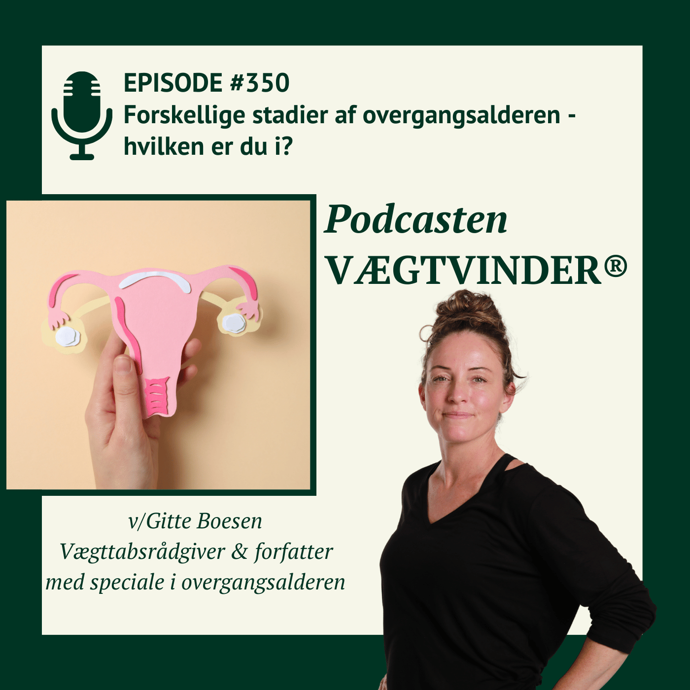 Forskellige stadier af overgangsalderen - hvilken er du i?