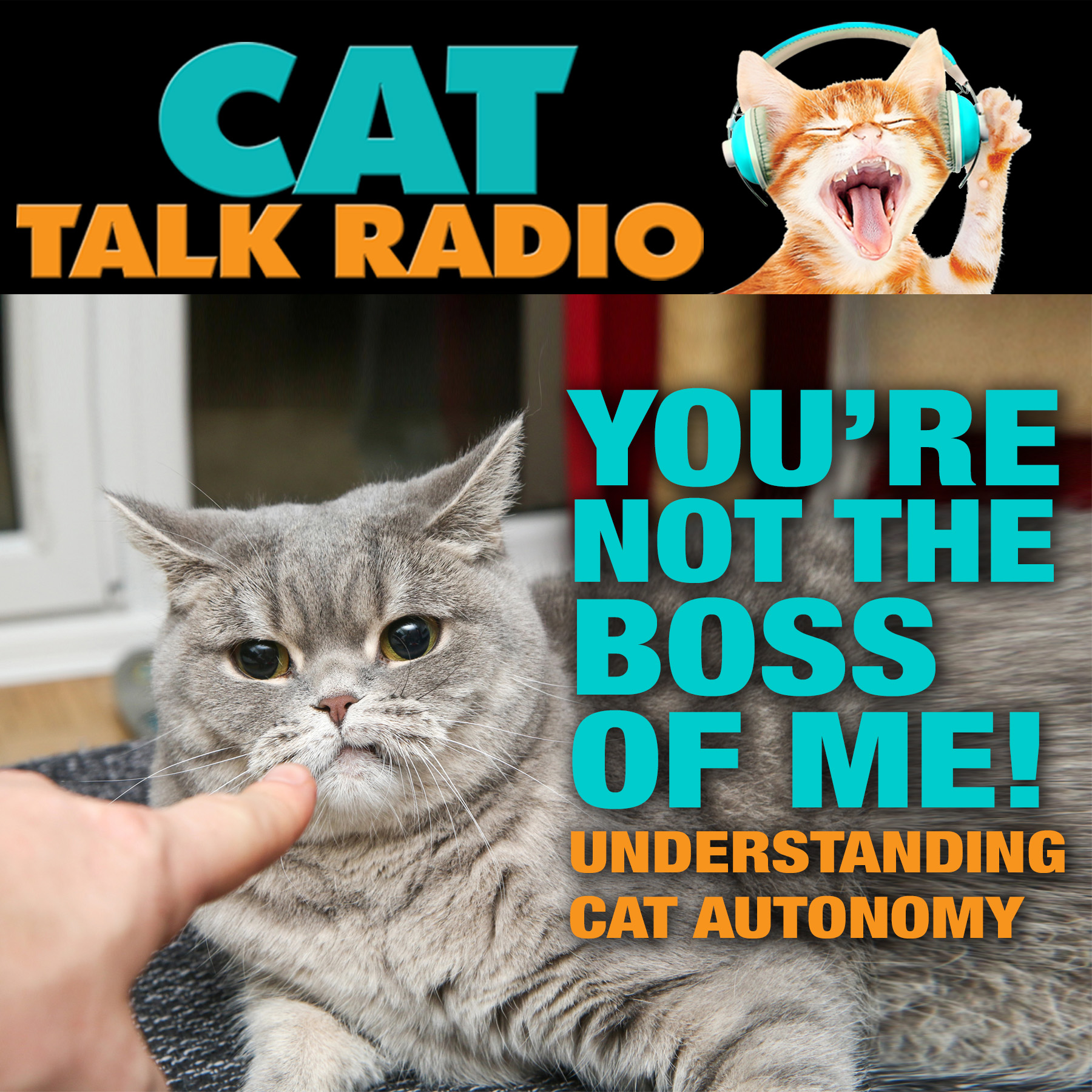 You’re Not the Boss of Me: Understanding Cat Autonomy