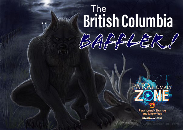 CREATURE FEATURE: The British Columbia BAFFLER!