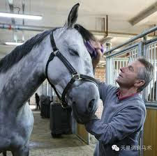 0163: Jeremy Michaels LC - It Takes Passion, Hard Work, an Open Mind and Being Open to Mistakes to Work with Horses . . . and Never Stop Learning