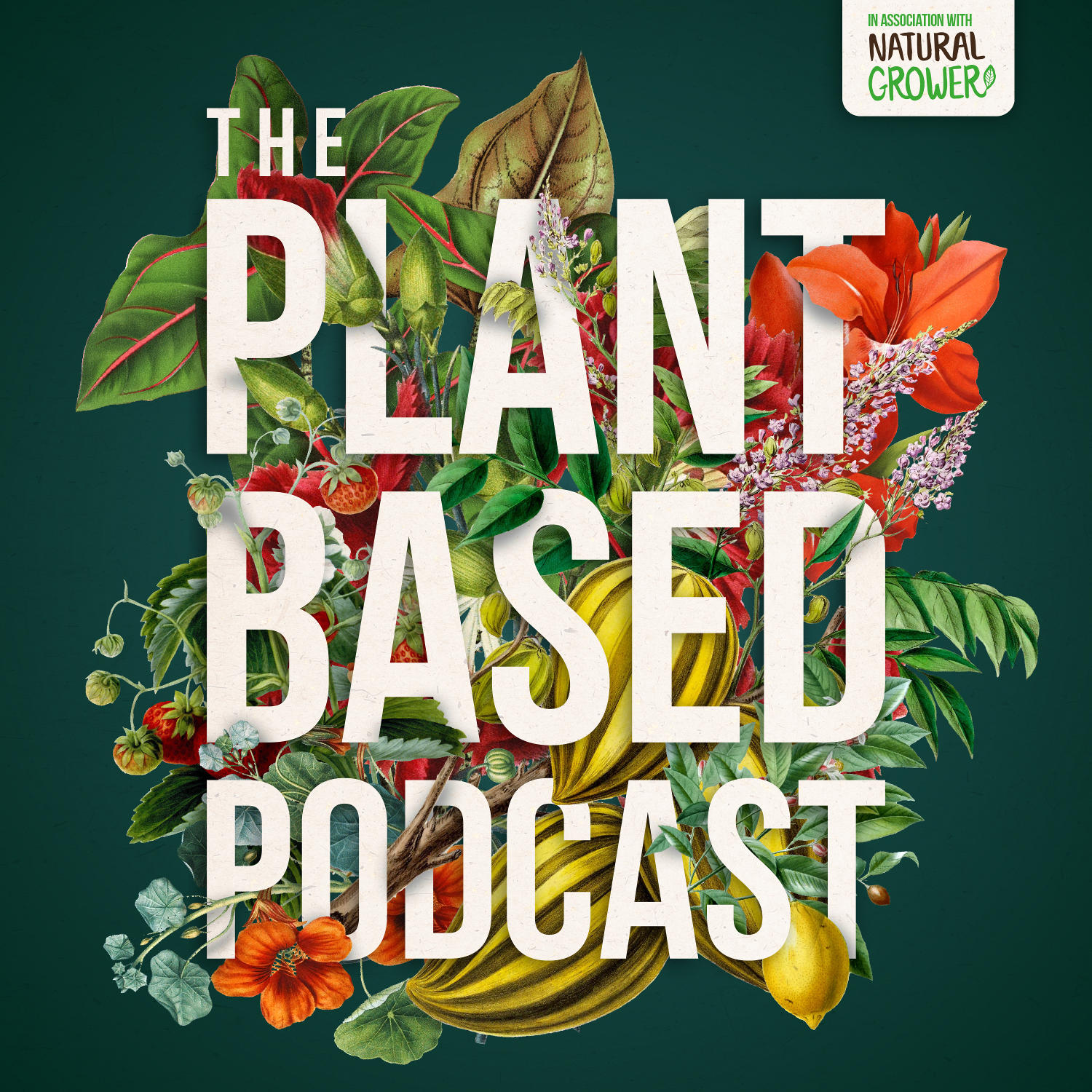 The Plant Based Podcast