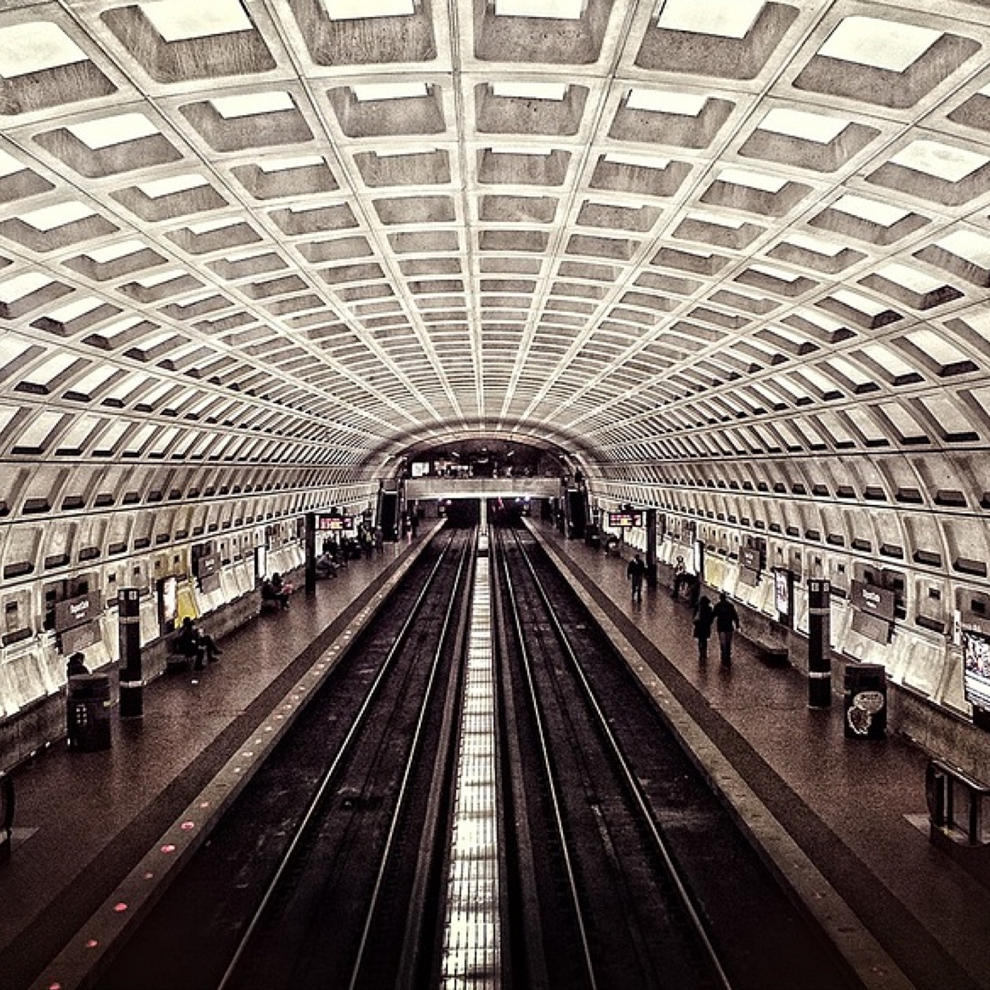 Montessori Education with Jesse McCarthy