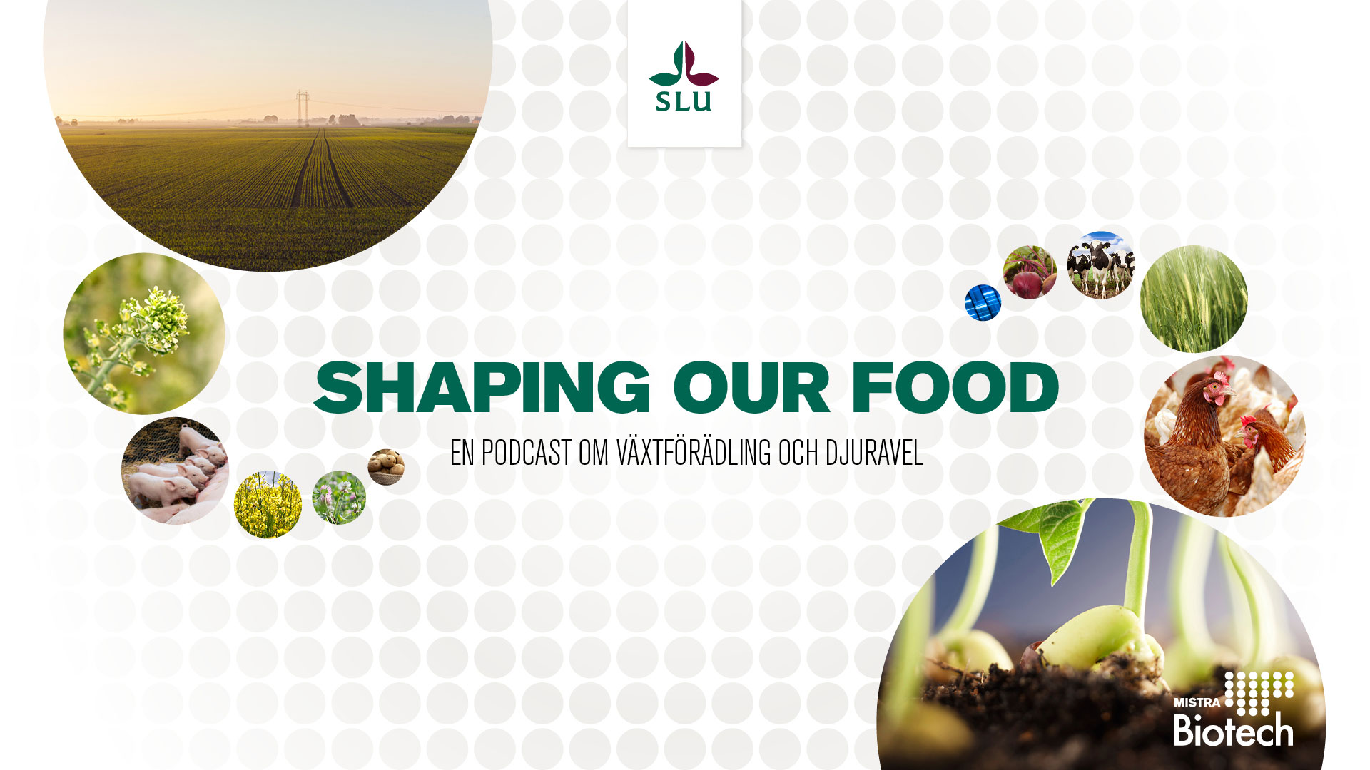 Shaping our food