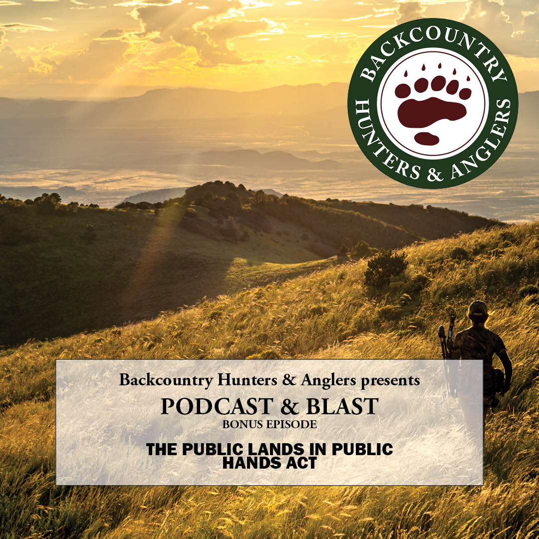 cover of episode Bonus Episode: The Public Lands in Public Hands Act
