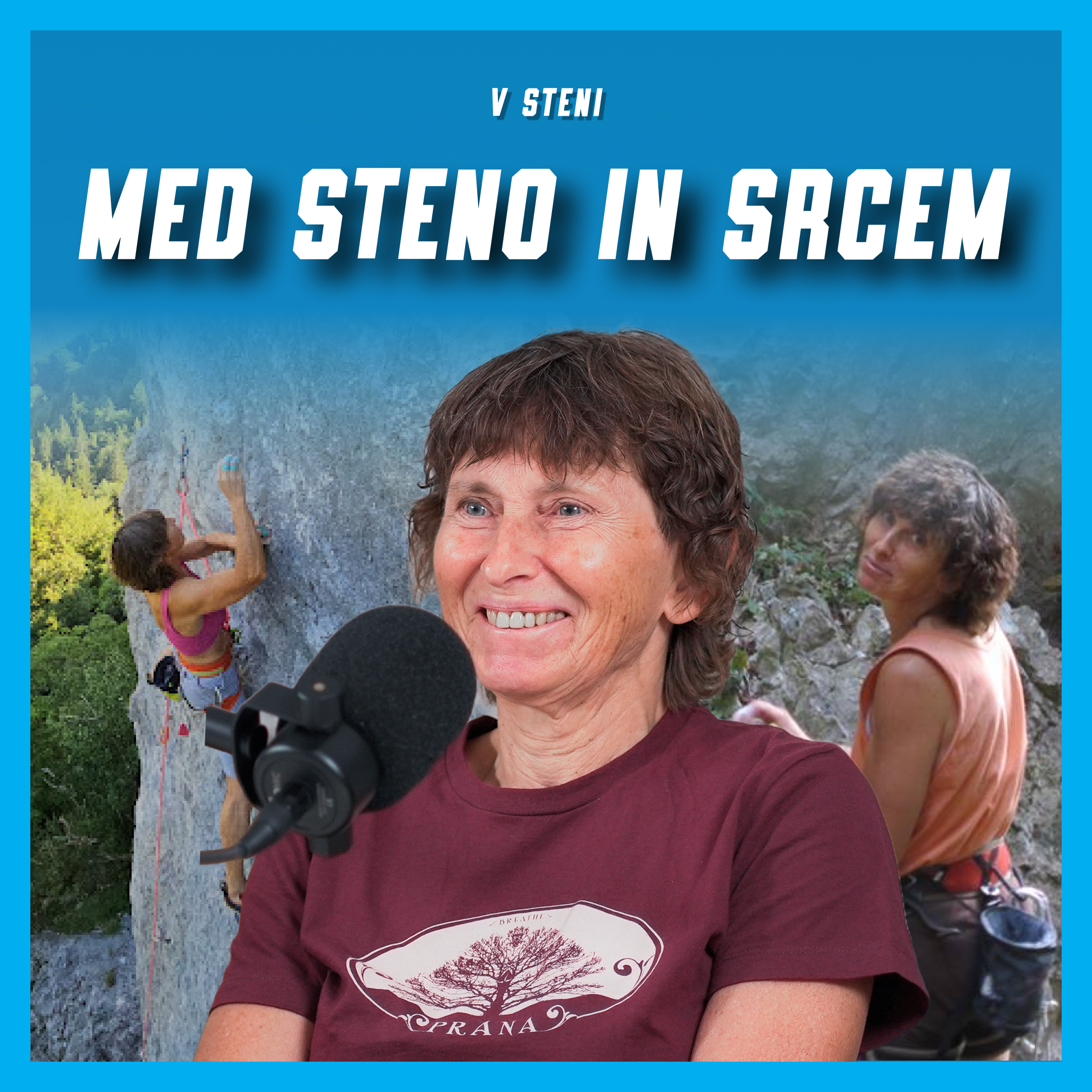 V steni